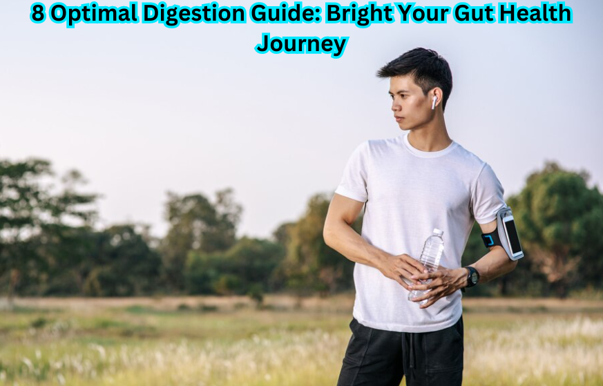 8 Optimal Digestion Guide: Bright Your Gut Health Journey