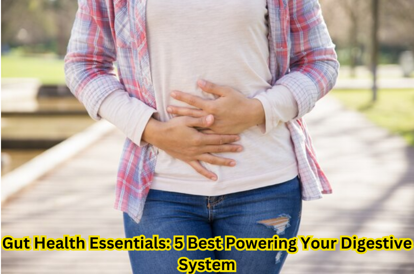 Gut Health Essentials: 5 Best Powering Your Digestive System
